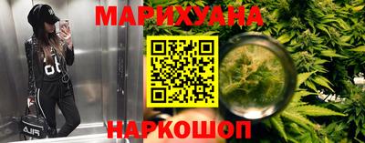 крисы Гагарин