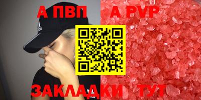 прущие грибы Гатчина