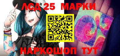 прущие грибы Гатчина