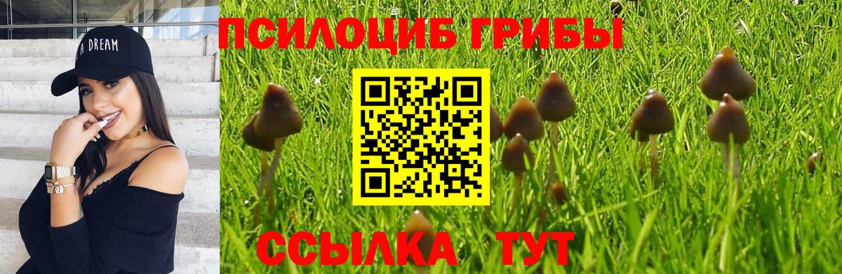 Ижевск  Псилоцибиновые грибы Magic Shrooms  Псилоцибиновые грибы Psilocybe  Вход с VPN 