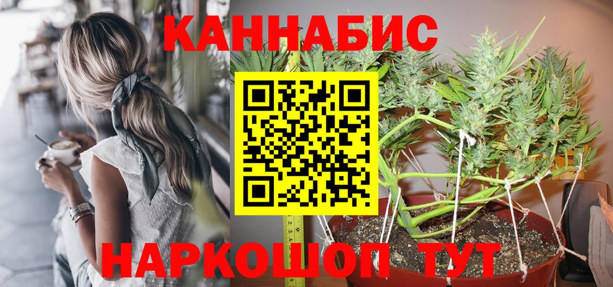 Конопля гибрид Ижевск